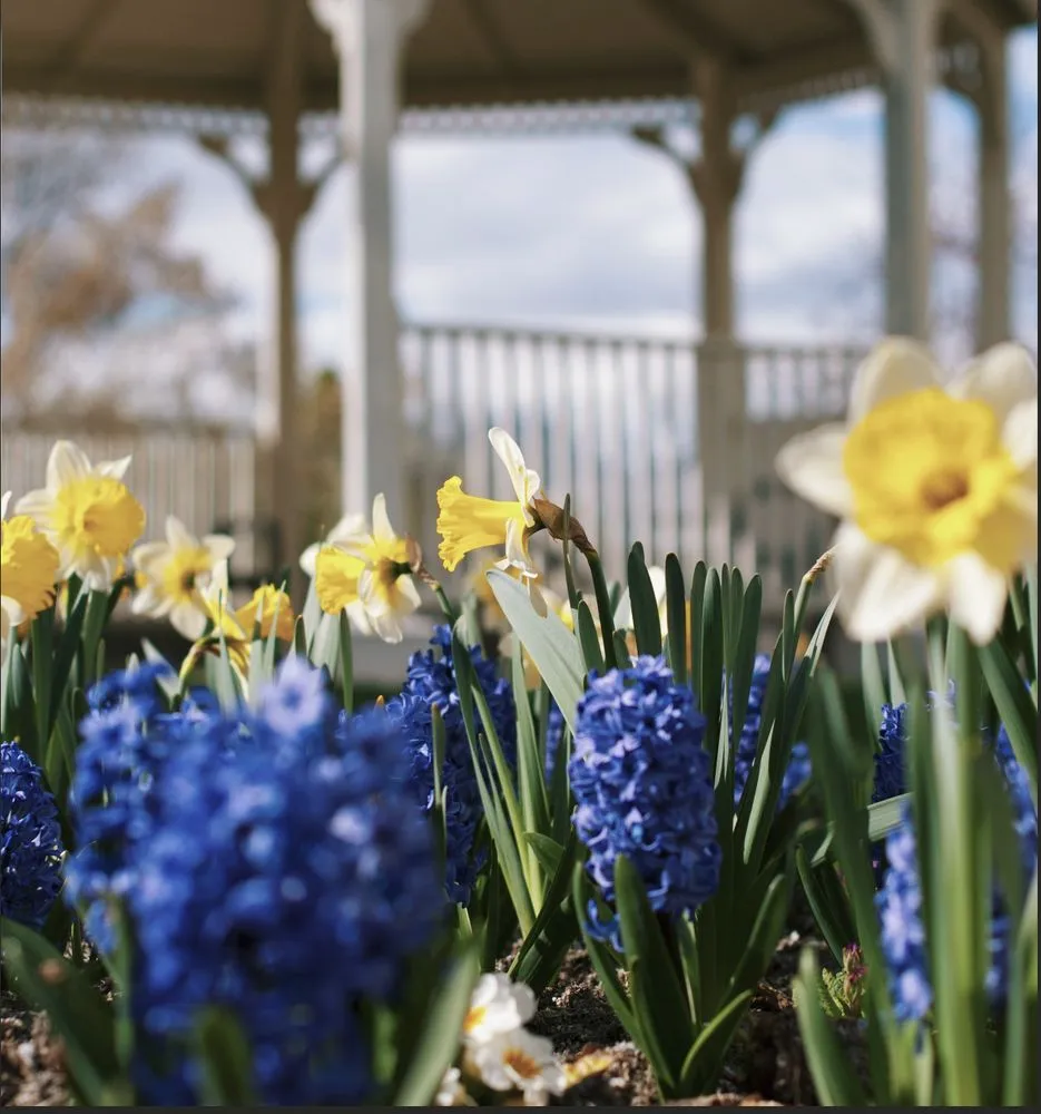 Affordable garden landscaping experts serving Alpharetta, GA - Rivendell Estate Care