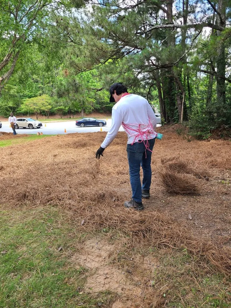 Top-rated yard cleanup service for year-round maintenance in Alpharetta, GA by Rivendell Estate Care