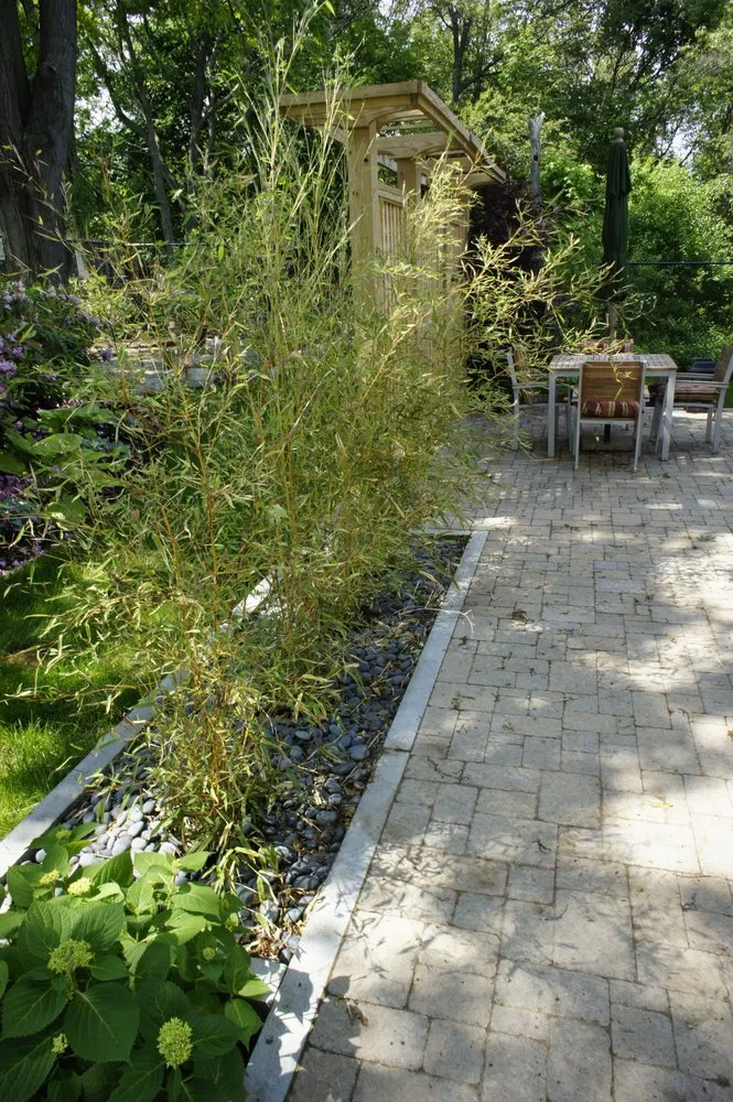 Reliable yard maintenance for year-round maintenance in Lexington, MA by Rivendell Landscape Design