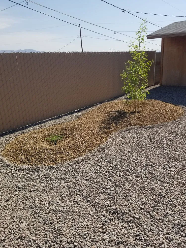 Trusted lawn mowing service for outdoor upgrades in Lake Havasu City, AZ by River Action Landscaping