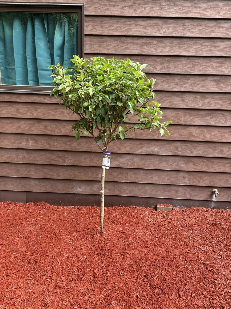 Top-rated landscape installation for residential properties across Harvard, IL - River Blue Landscaping