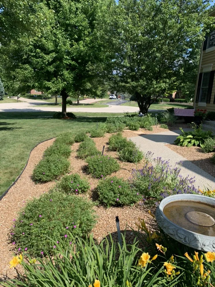 Expert landscaping services in Harvard, IL by River Blue Landscaping