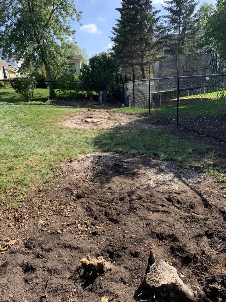 Top-rated yard cleanup service for year-round maintenance across Harvard, IL - River Blue Landscaping