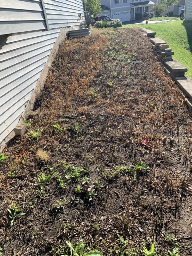 Custom garden landscaping for residential properties across Harvard, IL - River Blue Landscaping