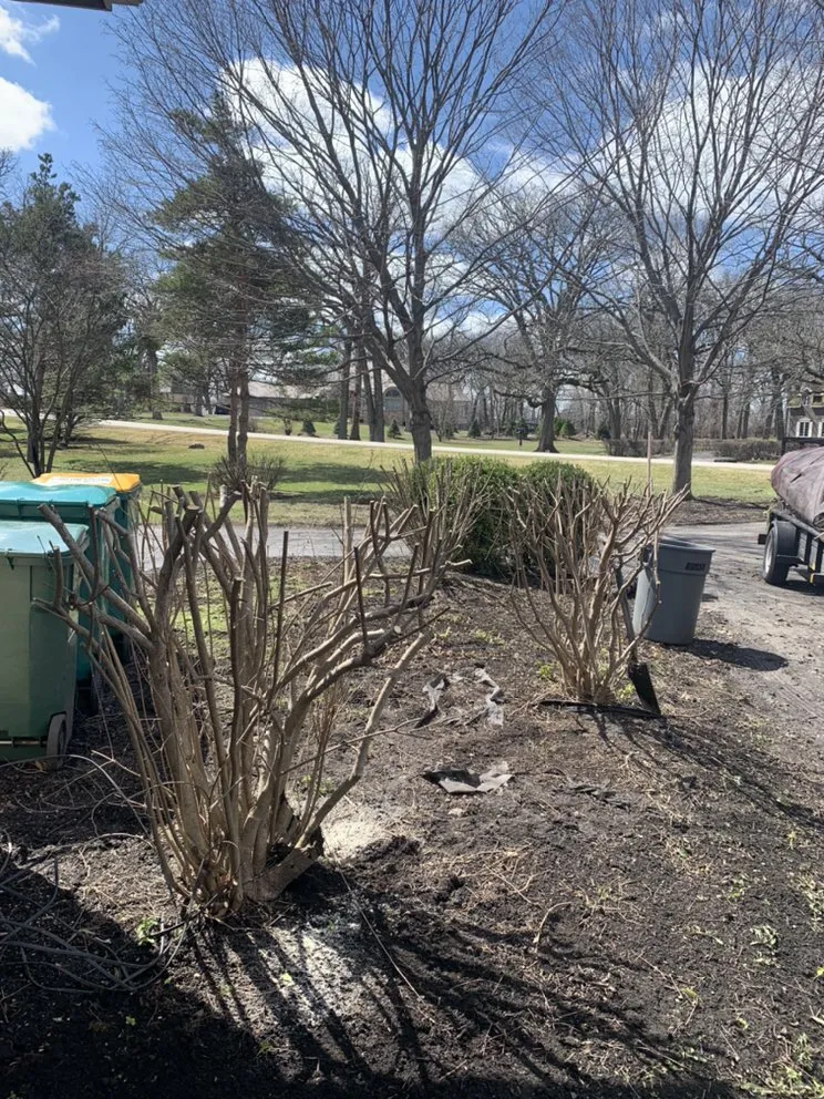 Affordable outdoor landscaping experts serving Harvard, IL - River Blue Landscaping