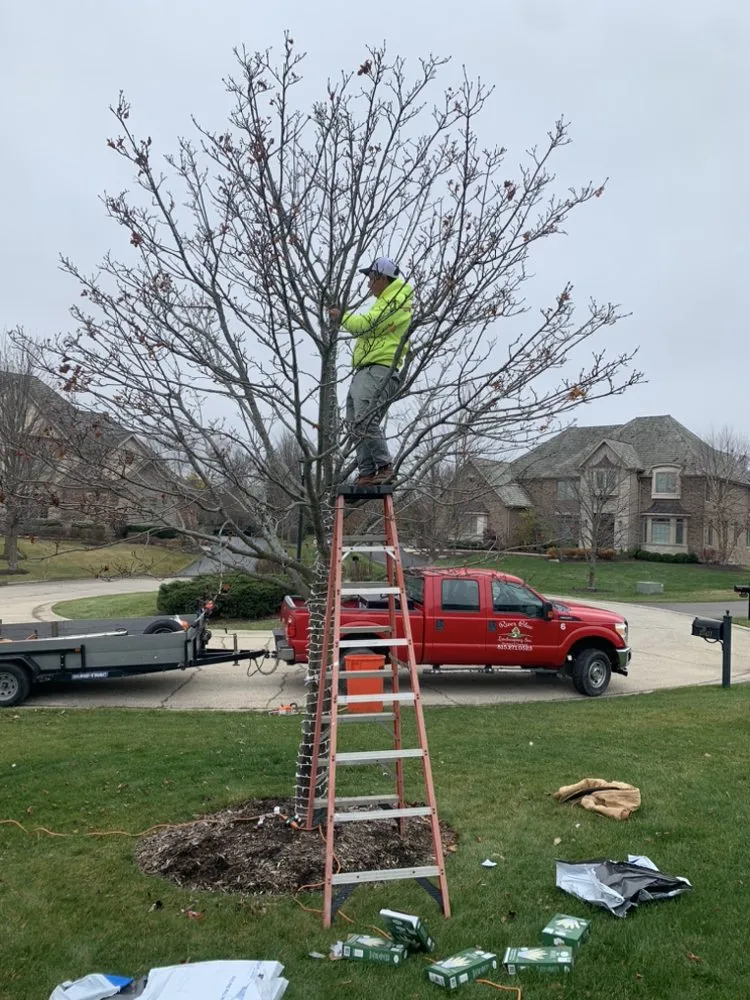 Local yard maintenance for beautiful yards across Harvard, IL - River Blue Landscaping