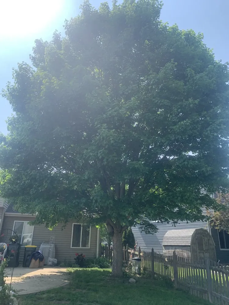 Custom lawn mowing service experts serving Harvard, IL - River Blue Landscaping