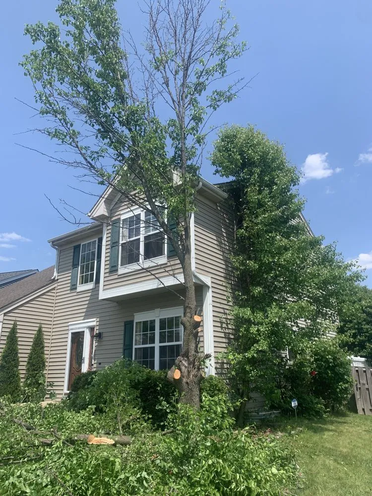 Expert garden landscaping in Harvard, IL by River Blue Landscaping