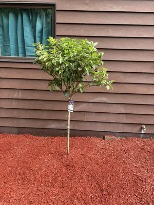 River Blue Landscaping