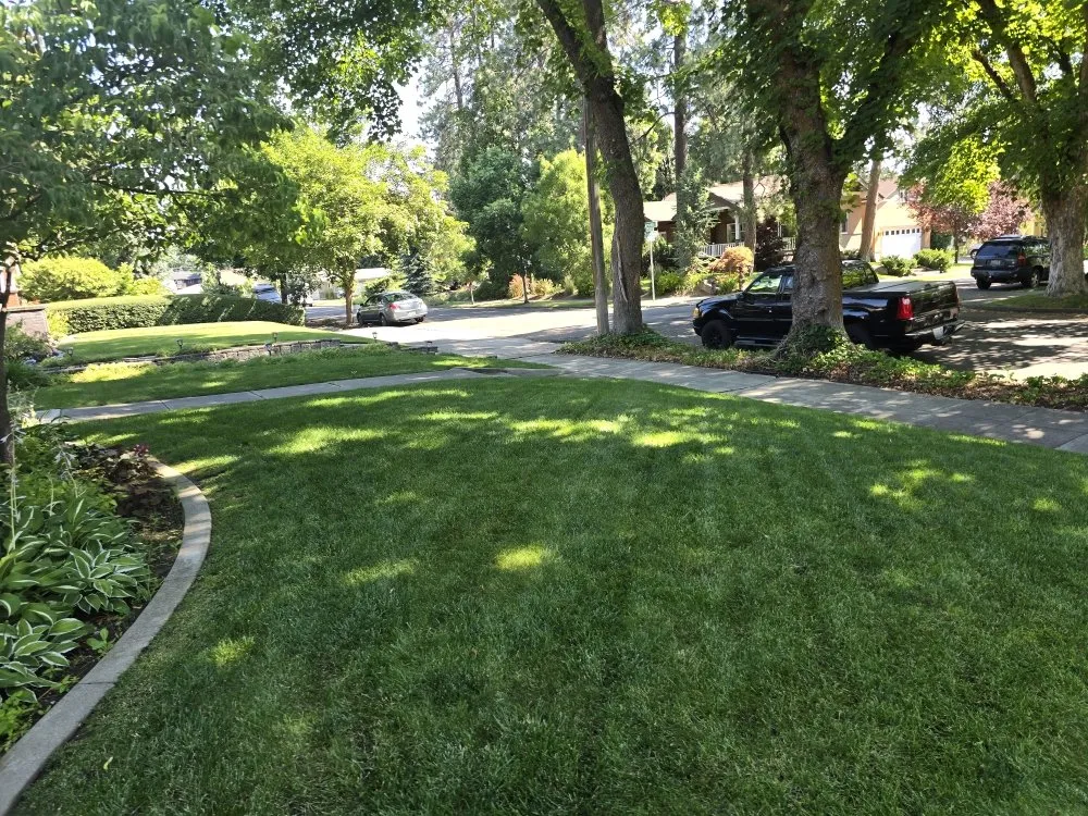 Trusted lawn care service in Spokane, WA by River City Home and Lawn Services