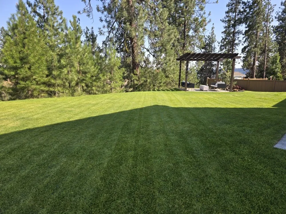 Custom lawn care service in Spokane, WA by River City Home and Lawn Services