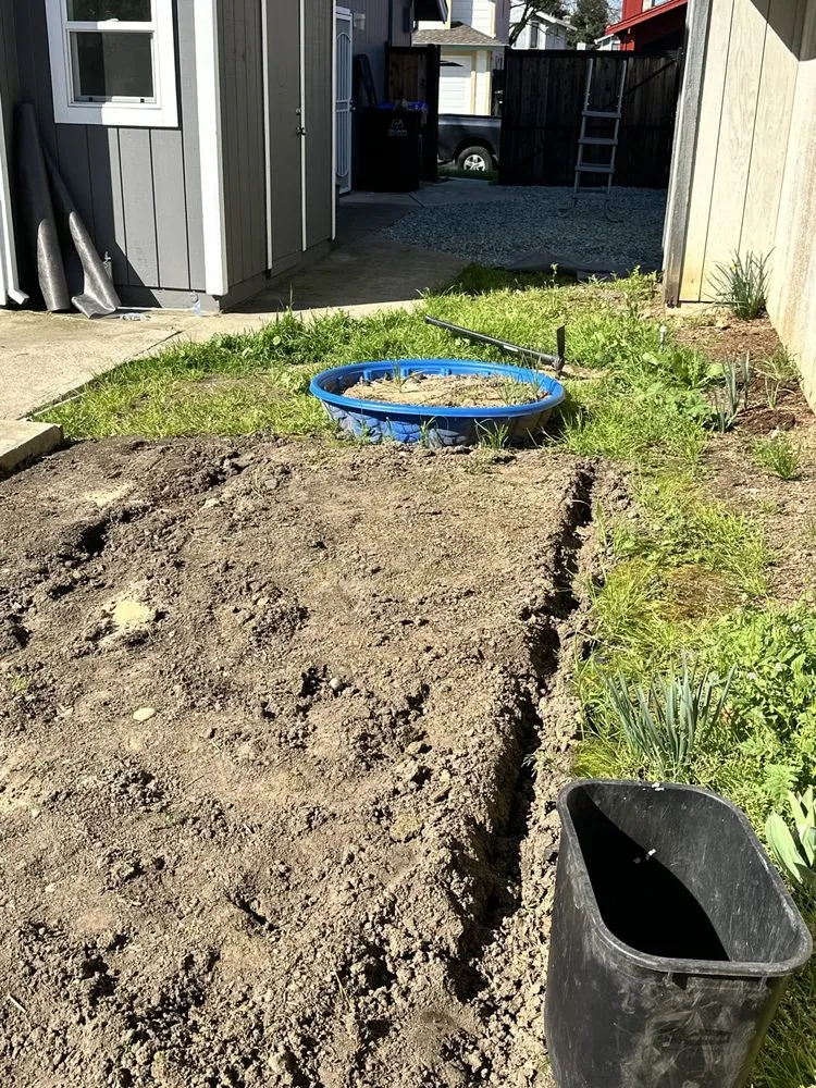 Professional yard maintenance for outdoor upgrades across Arden-Arcade, CA - River City Home Heroes