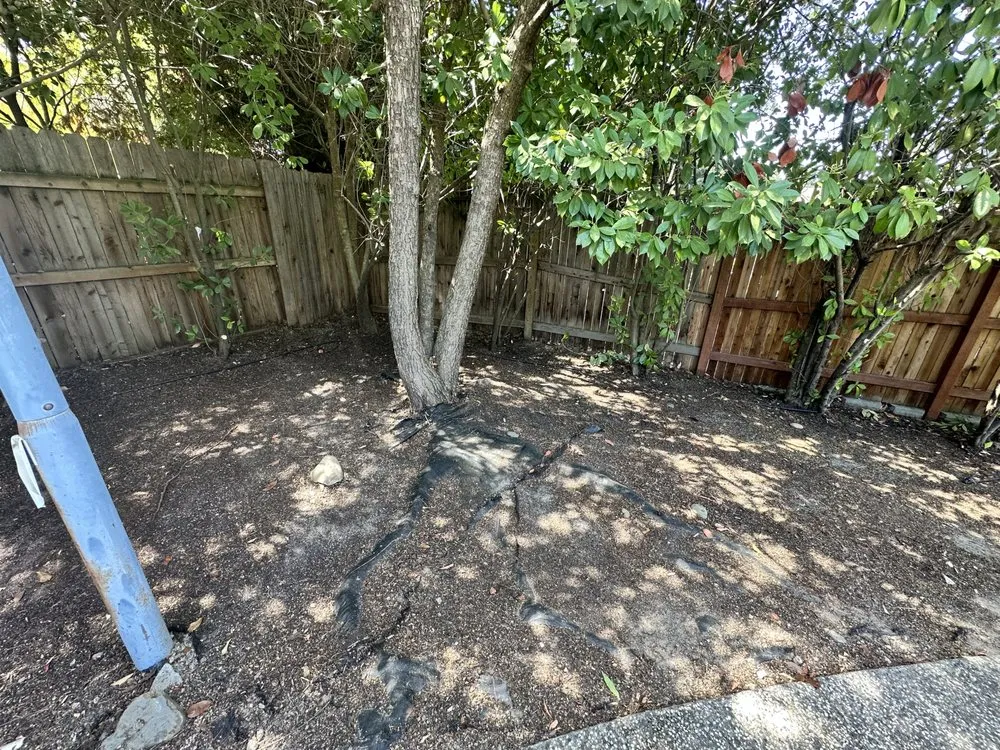 Trusted yard cleanup service for outdoor upgrades in Arden-Arcade, CA by River City Home Heroes