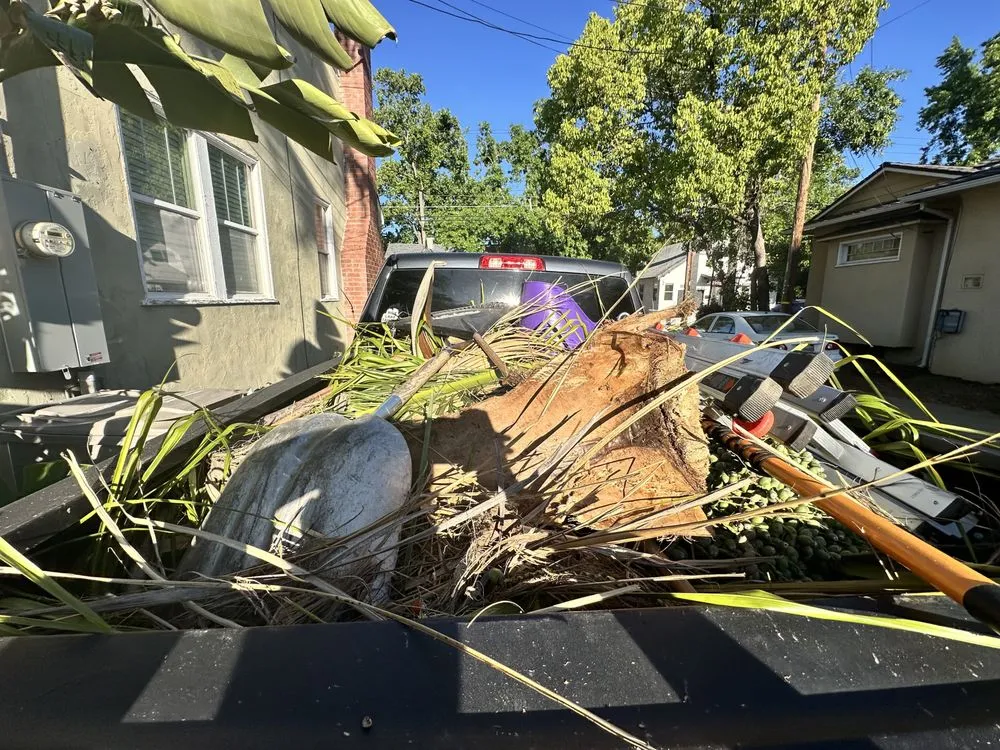 Top-rated lawn care service experts serving Arden-Arcade, CA - River City Home Heroes