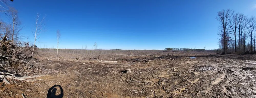 Custom yard maintenance for homes in Clarksville, TN by River City Land & Storm Solutions