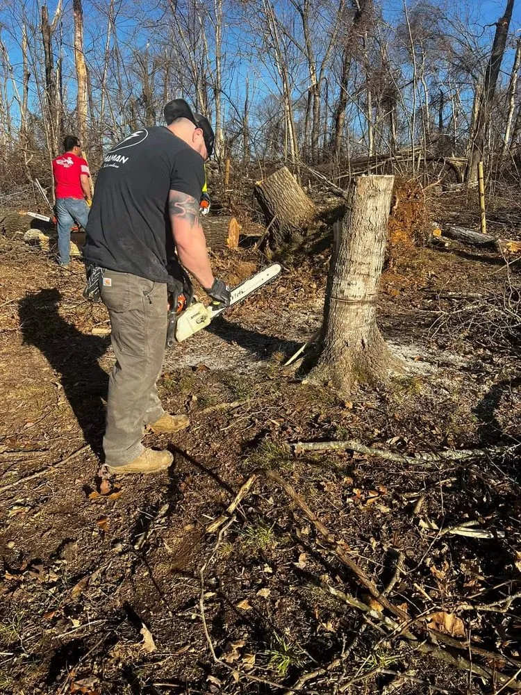 Top-rated residential landscaping experts serving Clarksville, TN - River City Land & Storm Solutions