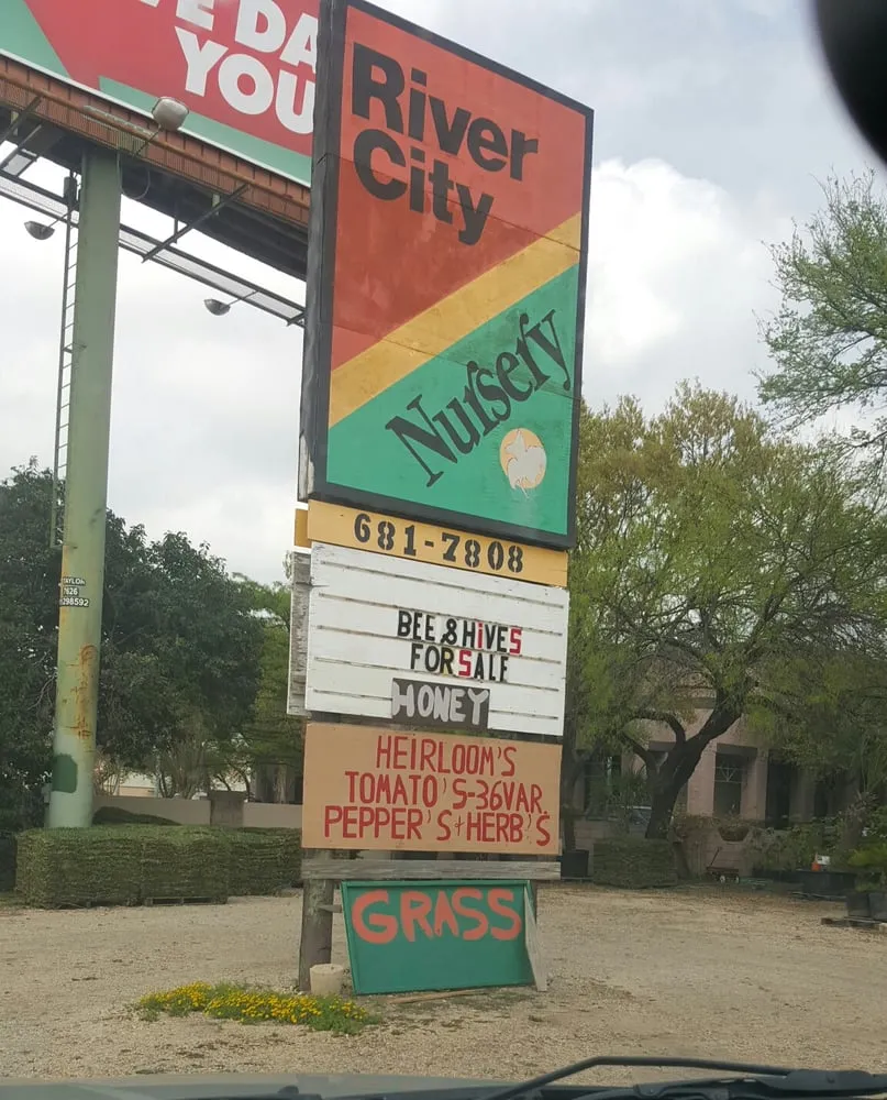 Top-rated landscaping services for homes across San Antonio, TX - River City Landscape