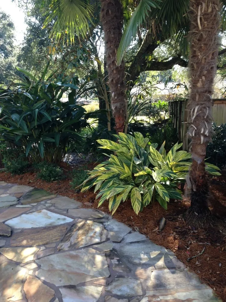 Affordable outdoor landscaping experts serving Baton Rouge, LA - River City Landscaping