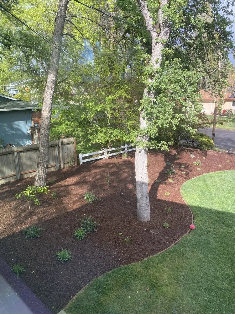 Custom lawn care service in Roseville, CA by River City Landscaping