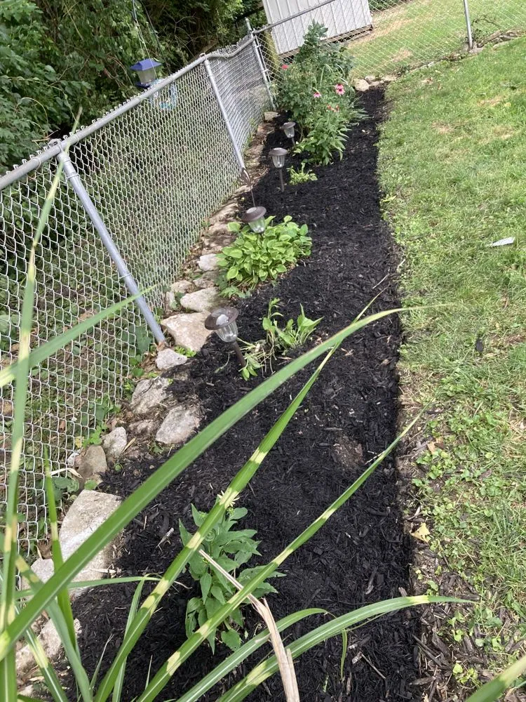 Affordable yard cleanup service experts serving Taylor Mill, KY - River City Lawn And Home Improvement