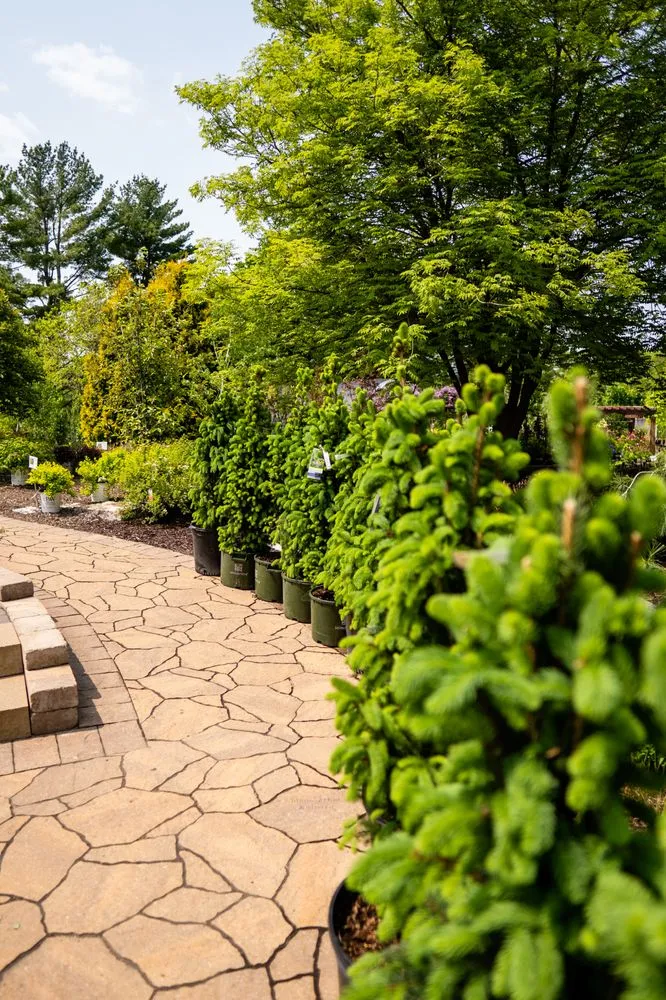 Expert outdoor landscaping in Holmen, WI - River City Lawnscape