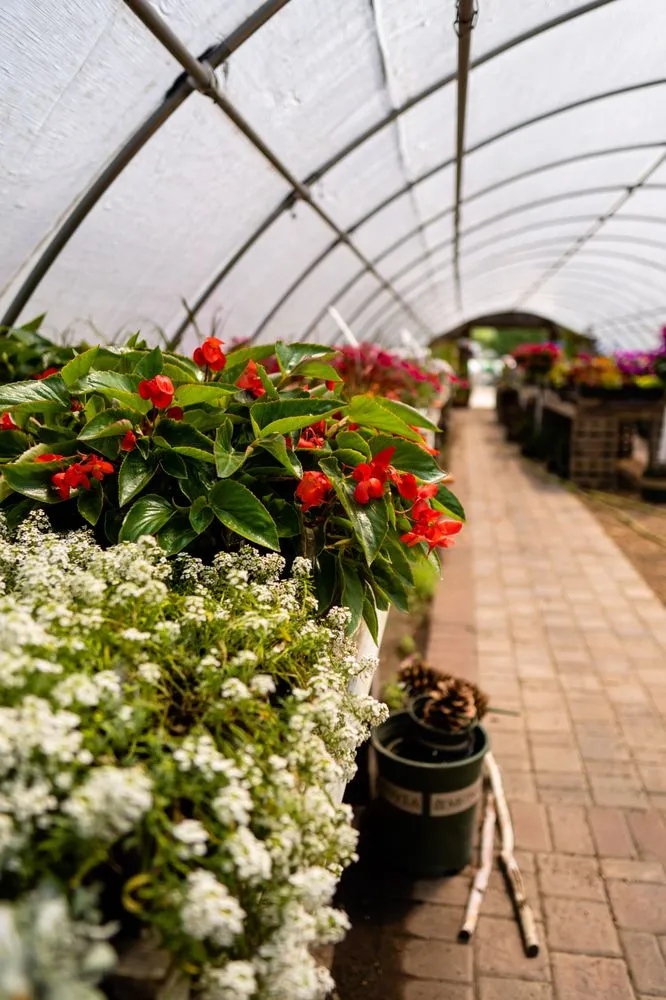 Reliable lawn mowing service for year-round maintenance across Holmen, WI - River City Lawnscape