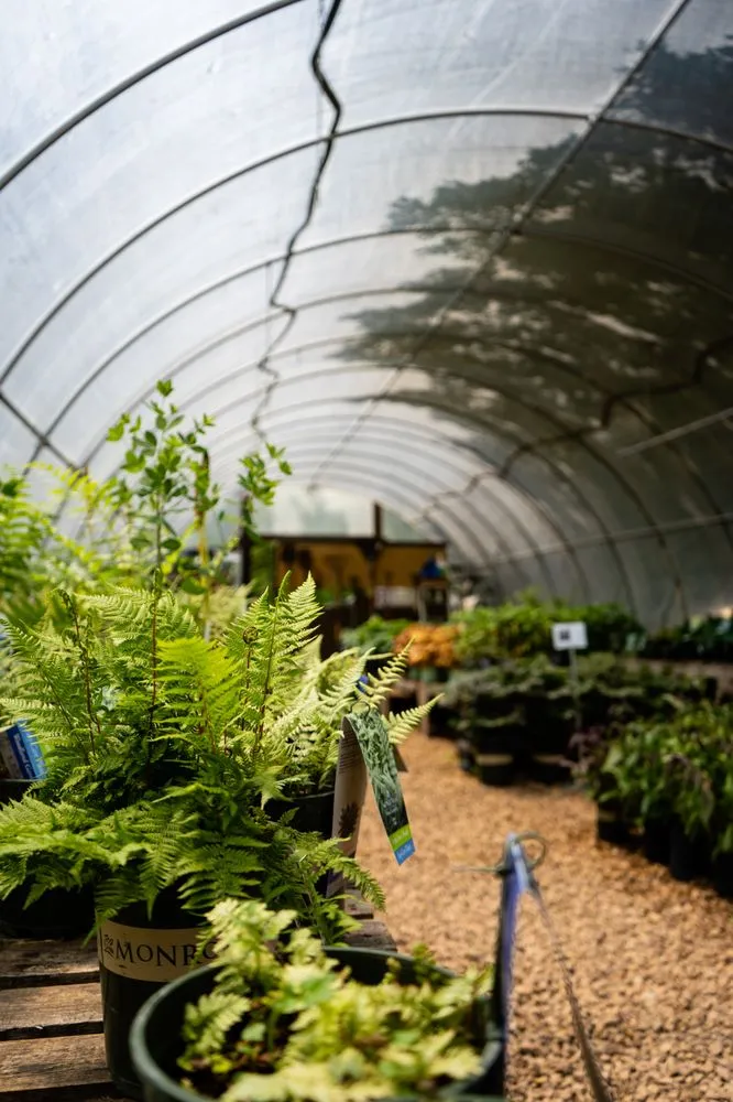 Top-rated lawn care service experts serving Holmen, WI - River City Lawnscape