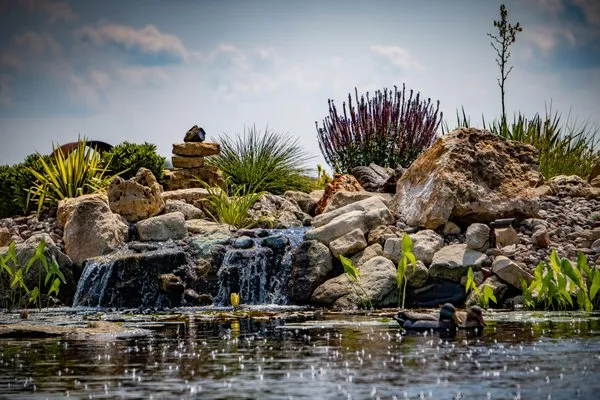 River City Lawnscape