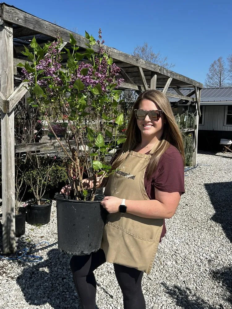 Professional landscaping services for residential properties in Madison, IN by River City Nursery