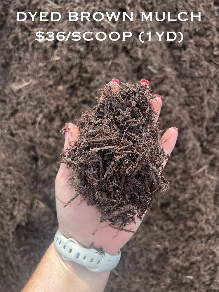 Affordable landscape installation experts serving Madison, IN - River City Nursery