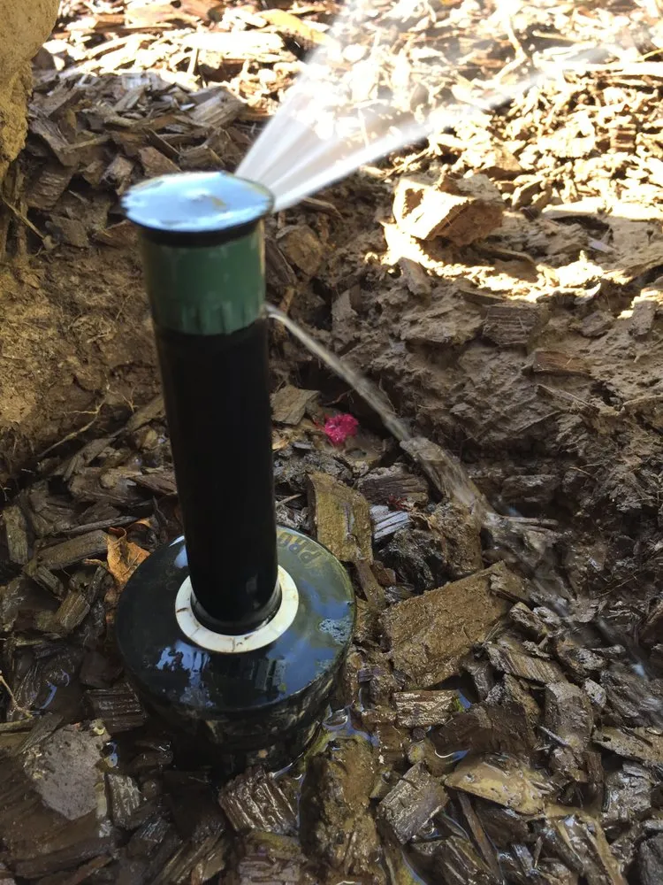 Custom outdoor landscaping in Sacramento, CA - River City Rain Sprinklers and Landscape