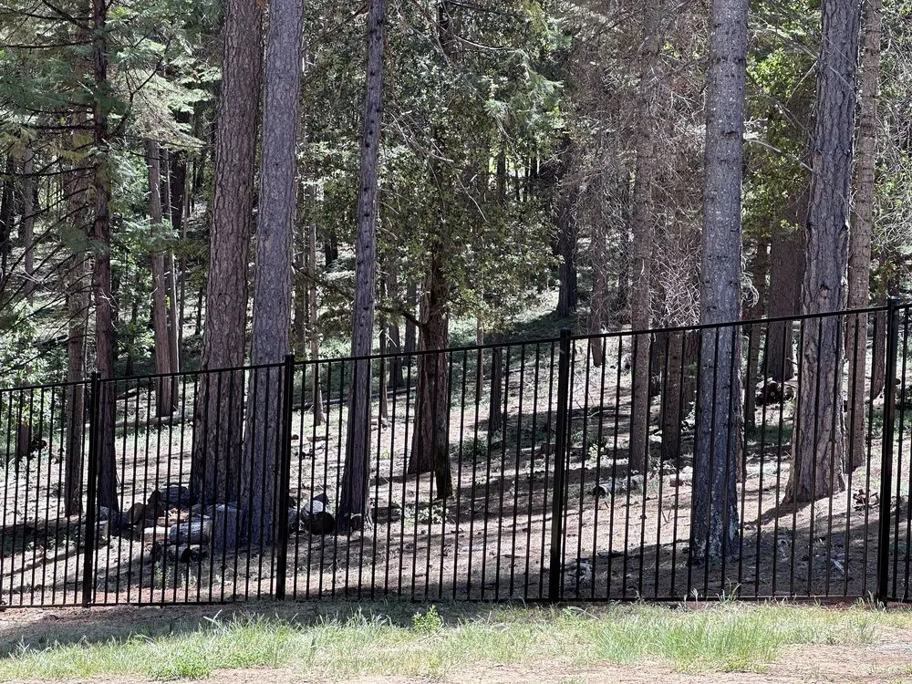 Professional landscape installation for year-round maintenance in Loomis, CA by River City Vinyl Fence