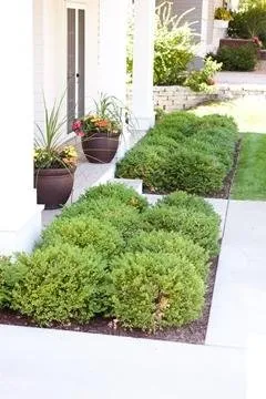 Top-rated outdoor landscaping in Inver Grove Heights, MN by River Heights Lawn & Landscape