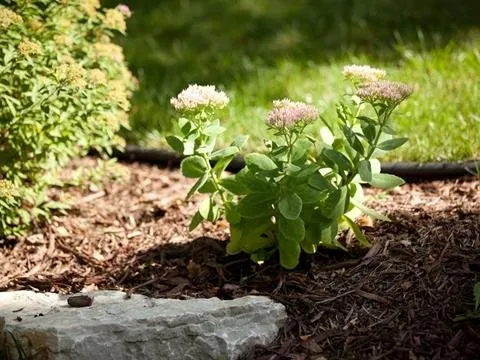 Professional landscape design experts serving Inver Grove Heights, MN - River Heights Lawn & Landscape