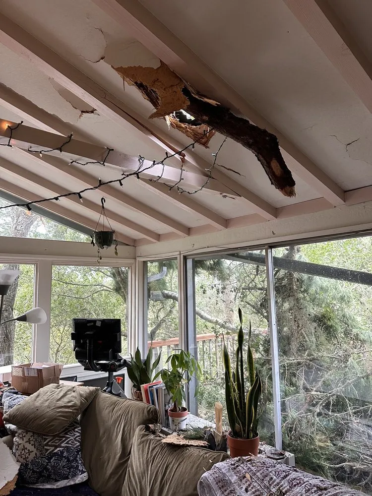 Local yard maintenance experts serving Monterey, CA - River Landscape & Tree Service