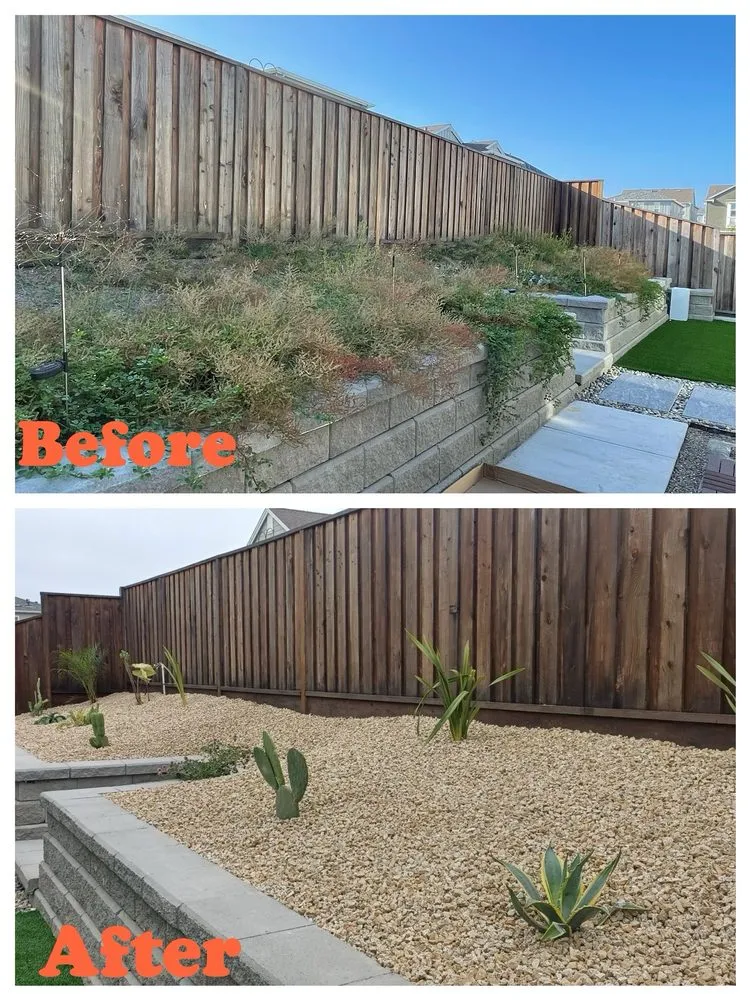 Reliable yard cleanup service in Monterey, CA - River Landscape & Tree Service