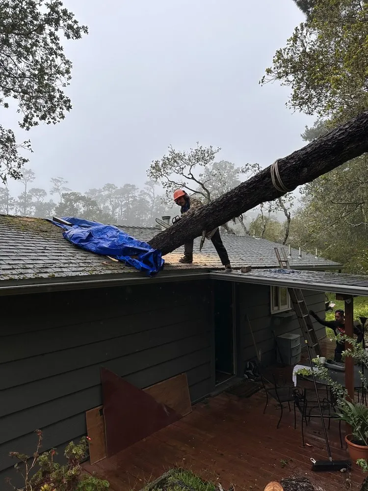 Trusted landscape design experts serving Monterey, CA - River Landscape & Tree Service