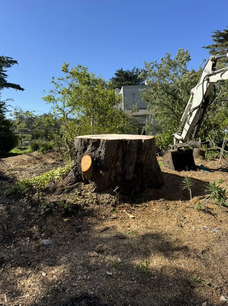 Custom landscape installation in Monterey, CA - River Landscape & Tree Service