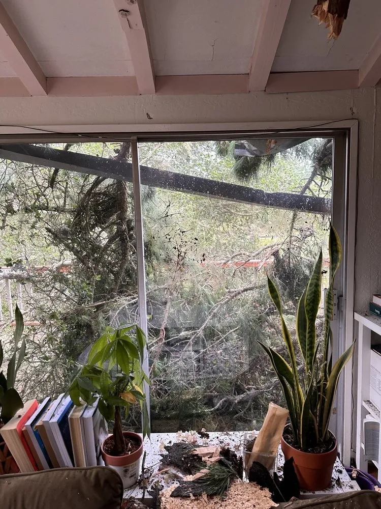 Reliable lawn mowing service in Monterey, CA - River Landscape & Tree Service