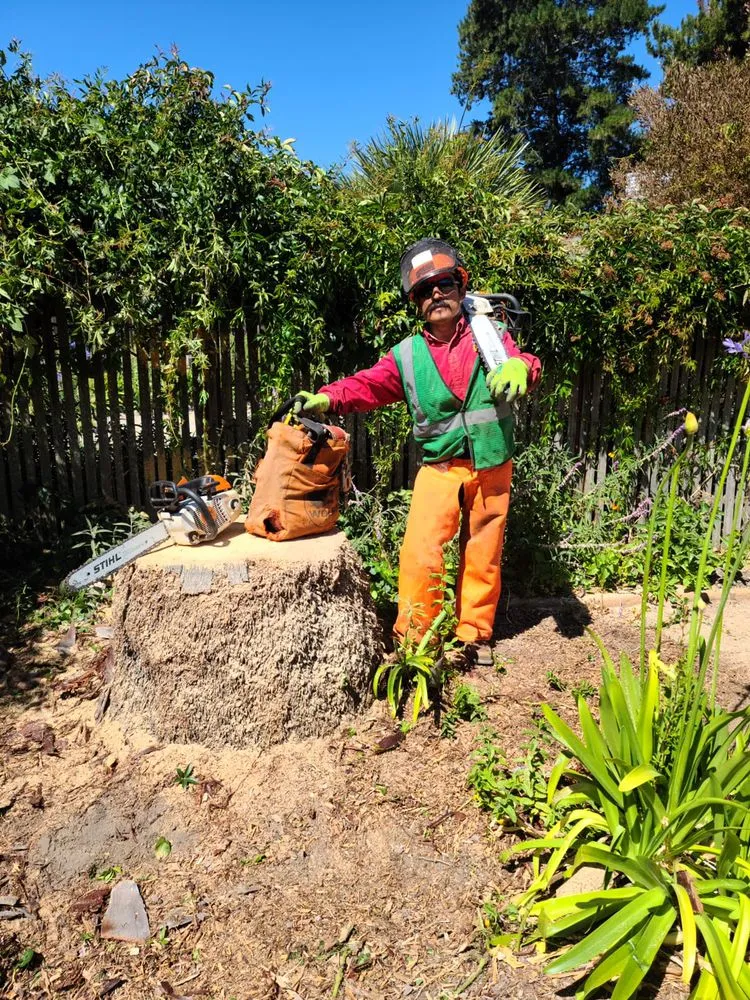Trusted garden landscaping near you across Monterey, CA - River Landscape & Tree Service