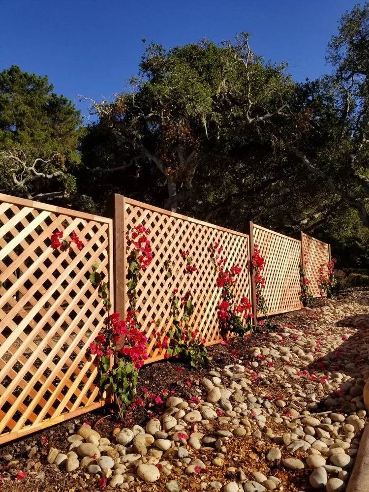 Local lawn care service for beautiful yards across Monterey, CA - River Landscape & Tree Service