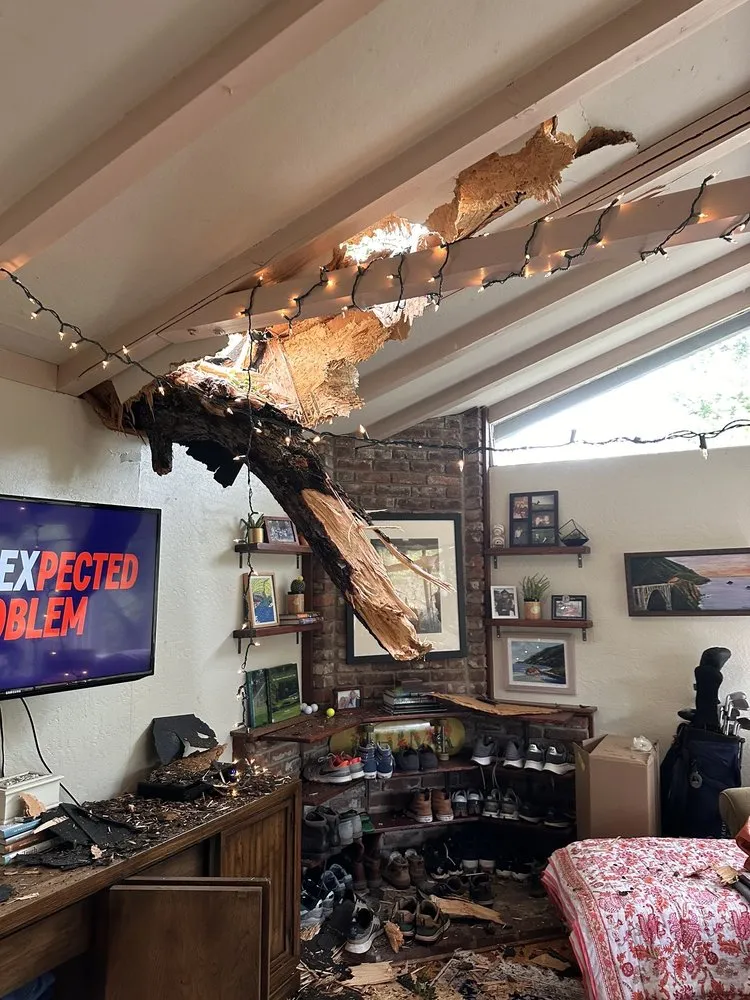 Trusted residential landscaping experts serving Monterey, CA - River Landscape & Tree Service