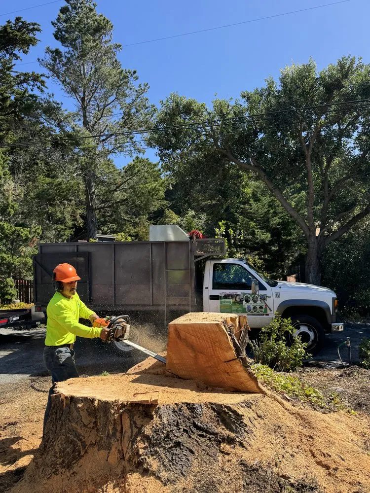 Affordable outdoor landscaping near you in Monterey, CA by River Landscape & Tree Service