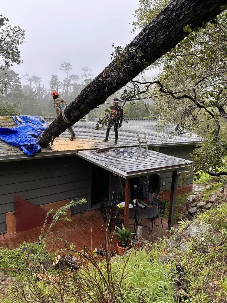 Professional lawn care service experts serving Monterey, CA - River Landscape & Tree Service