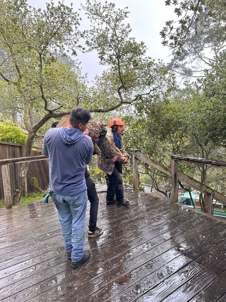 Local landscape installation with custom design in Monterey, CA by River Landscape & Tree Service