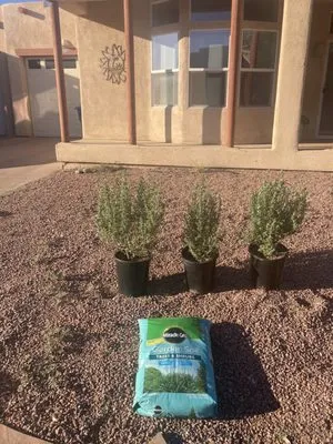 River Landscape Pro’s Logo