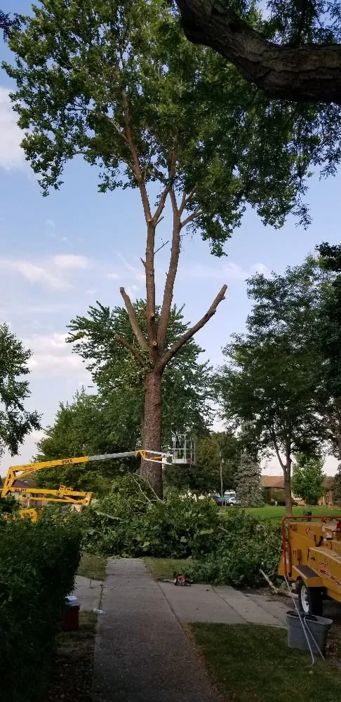 Reliable landscape design in Ladd, IL by River Landscaping & Tree Service