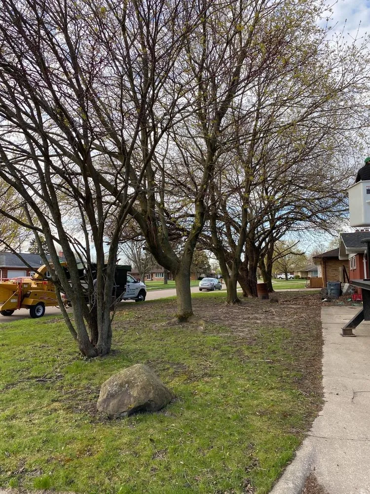 Trusted yard cleanup service for homes across Ladd, IL - River Landscaping & Tree Service