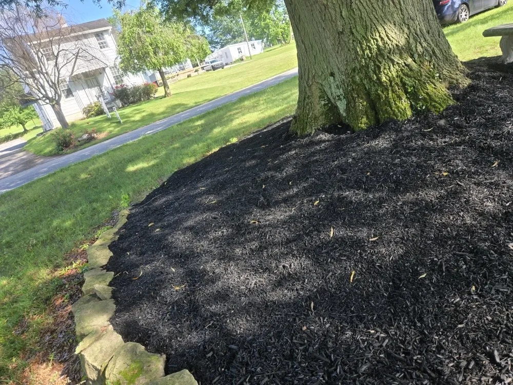 Expert outdoor landscaping in Dover, PA by River Lee Landscaping