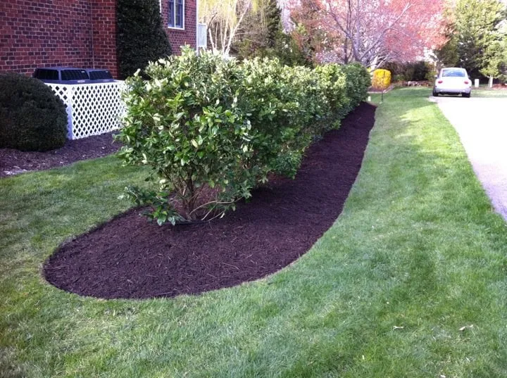 Top-rated outdoor landscaping in Richmond, VA by River Oaks Grounds Management